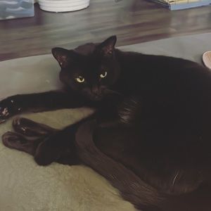 Meet your Posher, Jessica